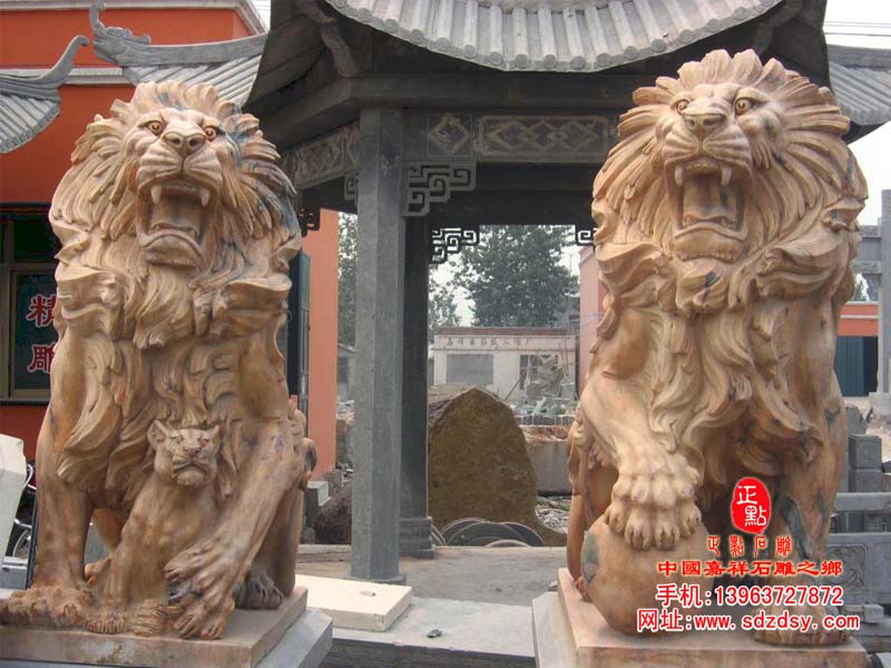 歐洲石獅子|非洲獅